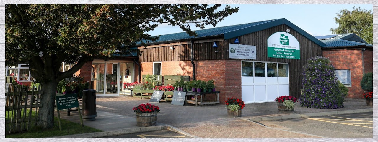 Pumpkin Picking Essington Farm