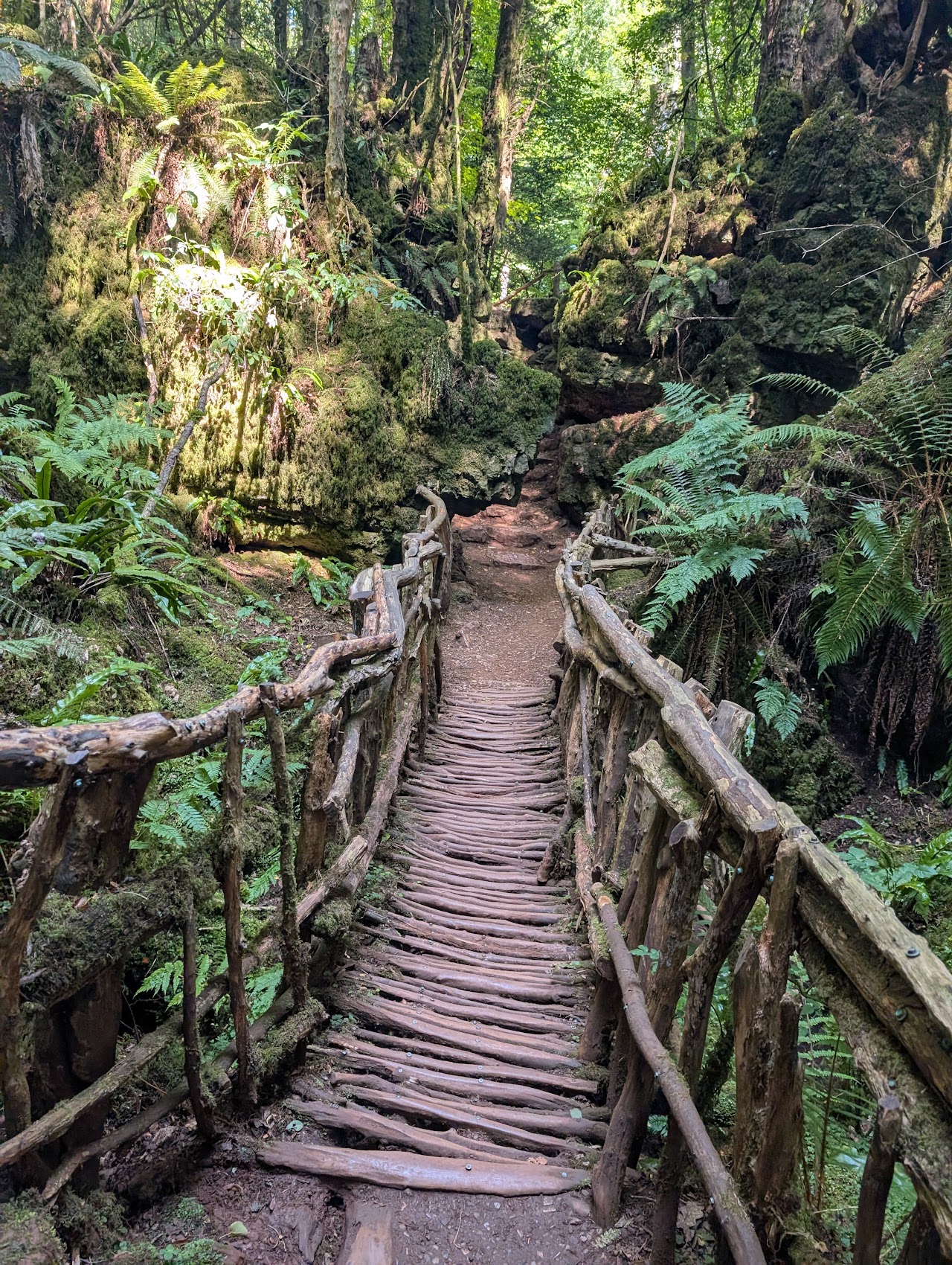 Puzzlewood