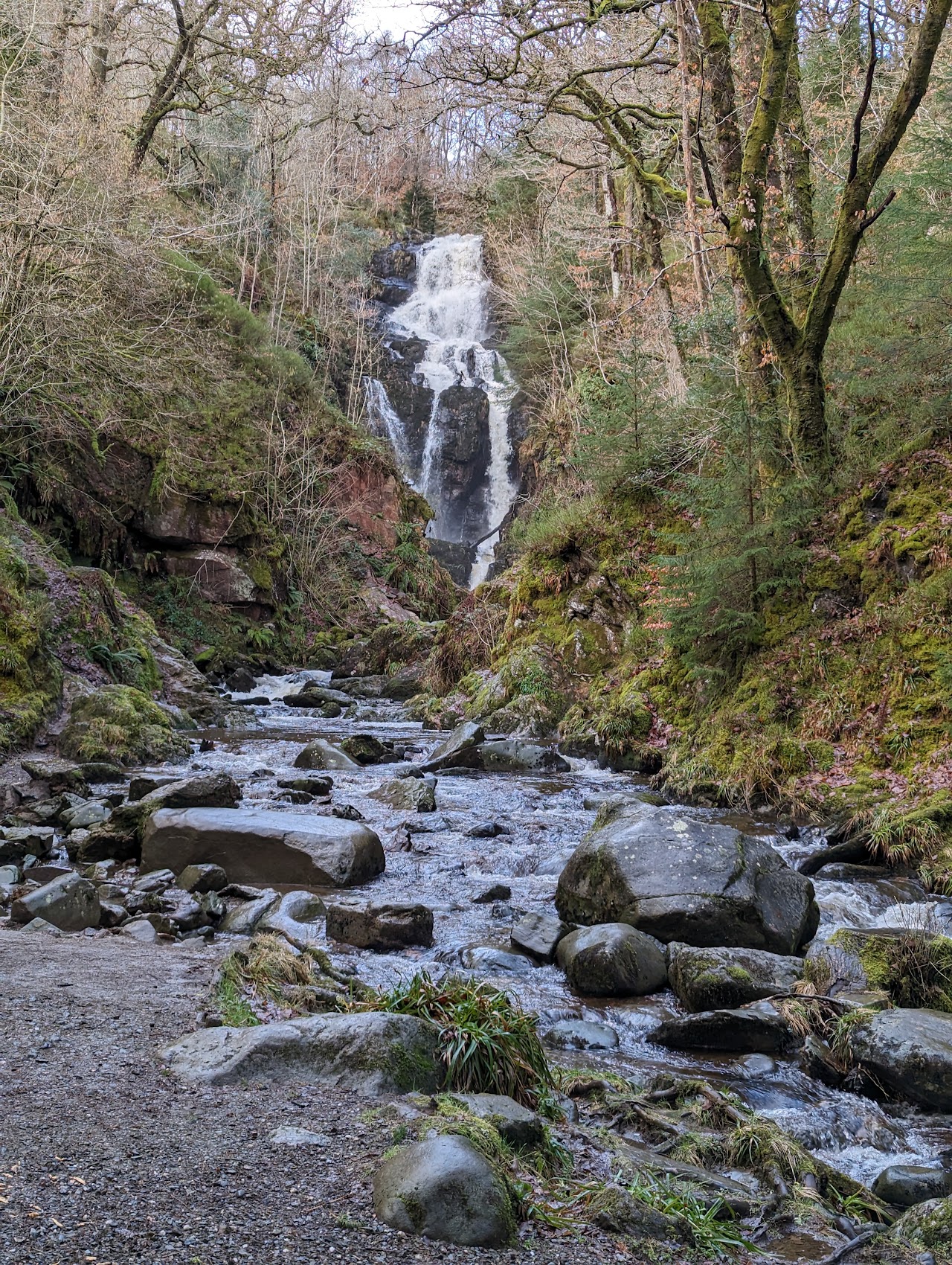 Queen Elizabeth Forest Park