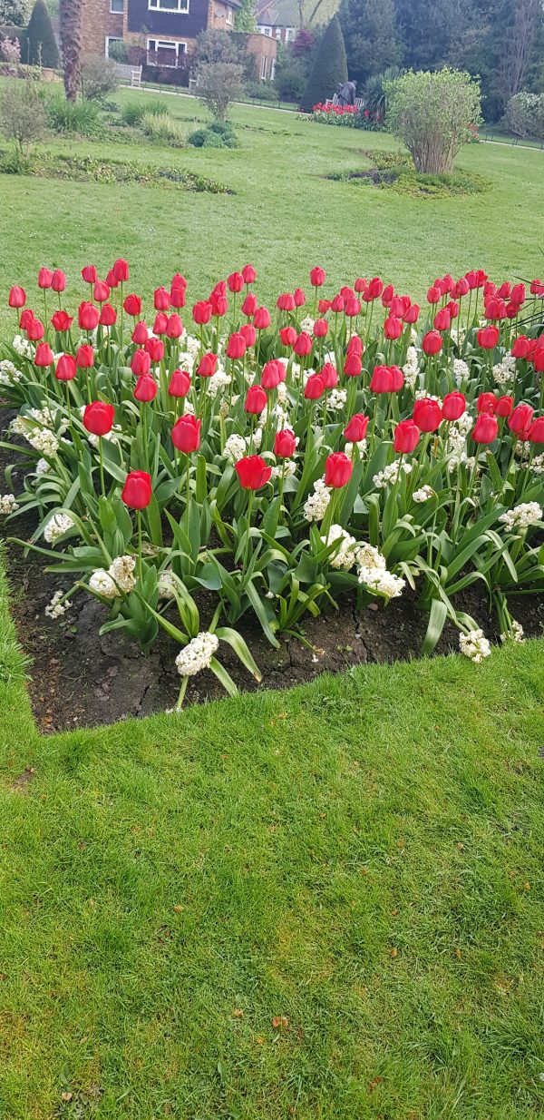 Queen's Park London