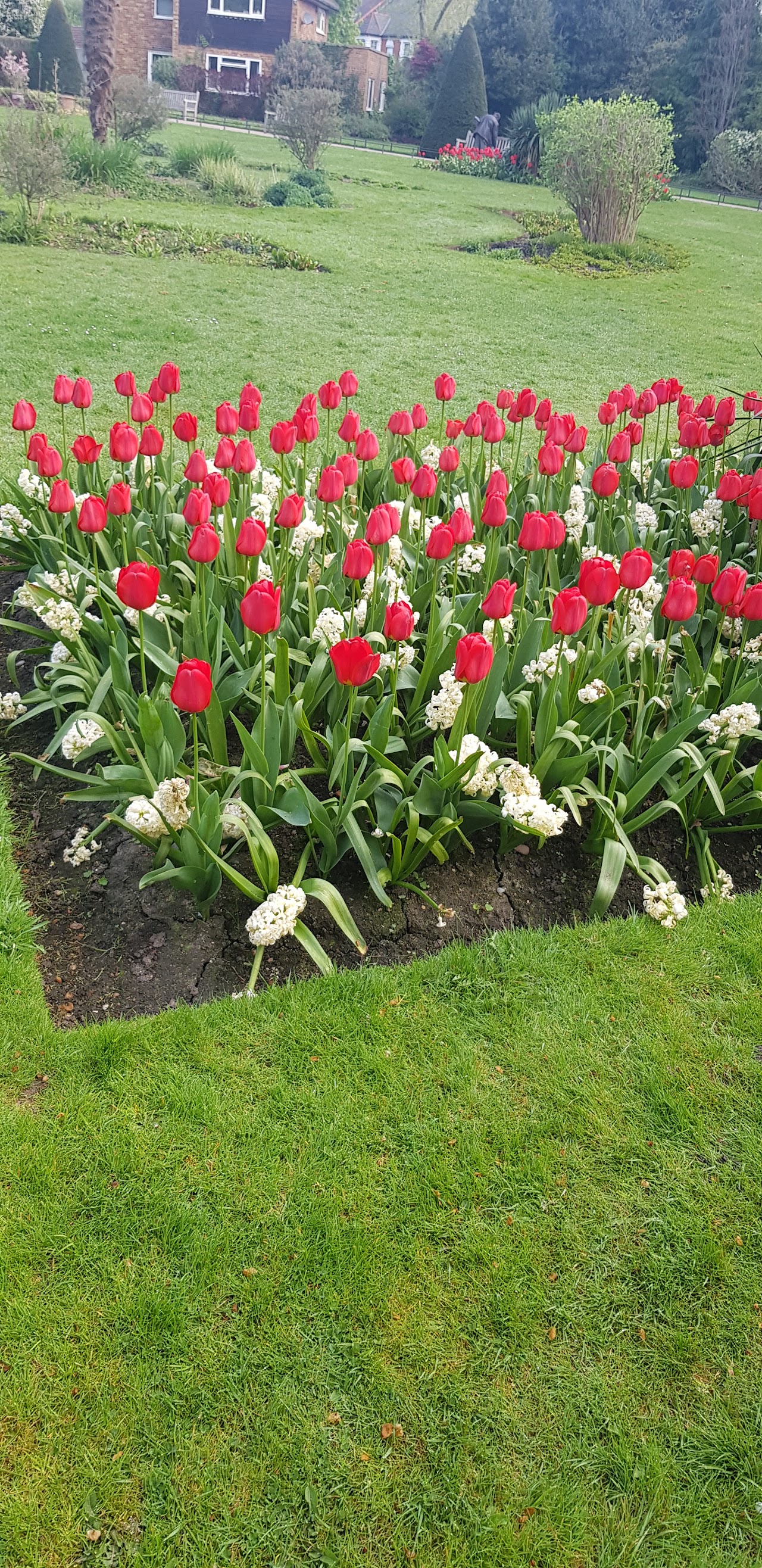 Queen's Park London