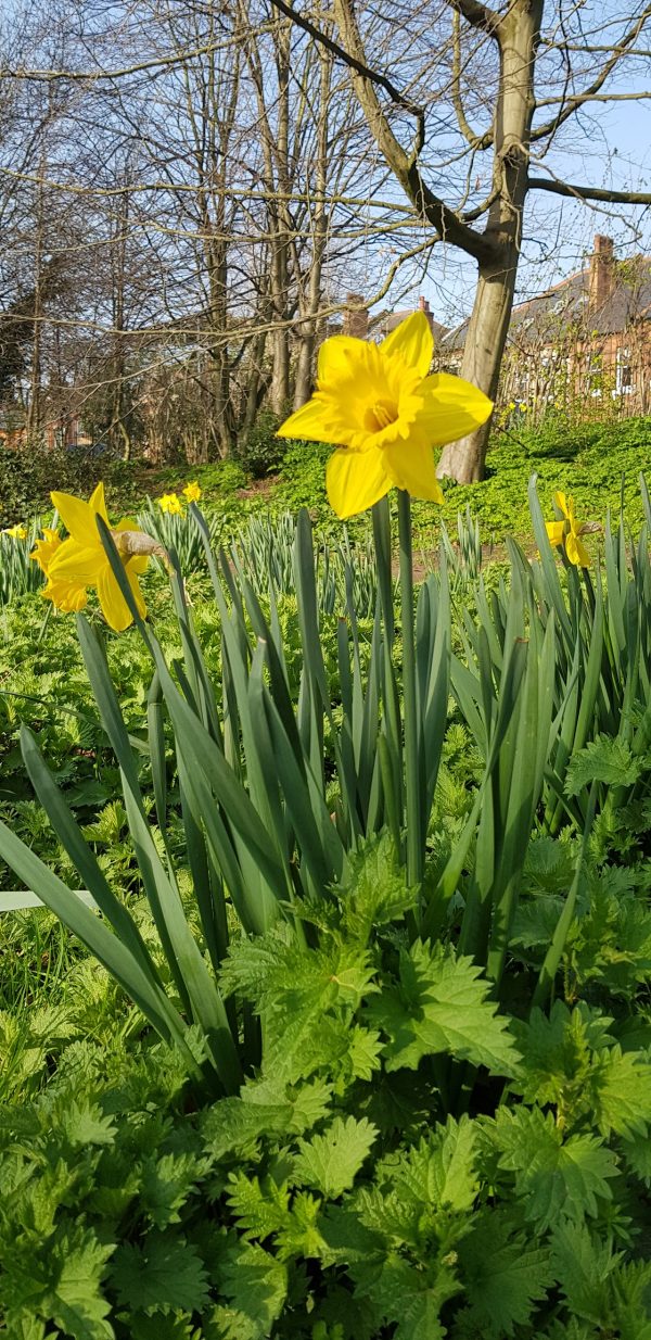 Queen's Park London