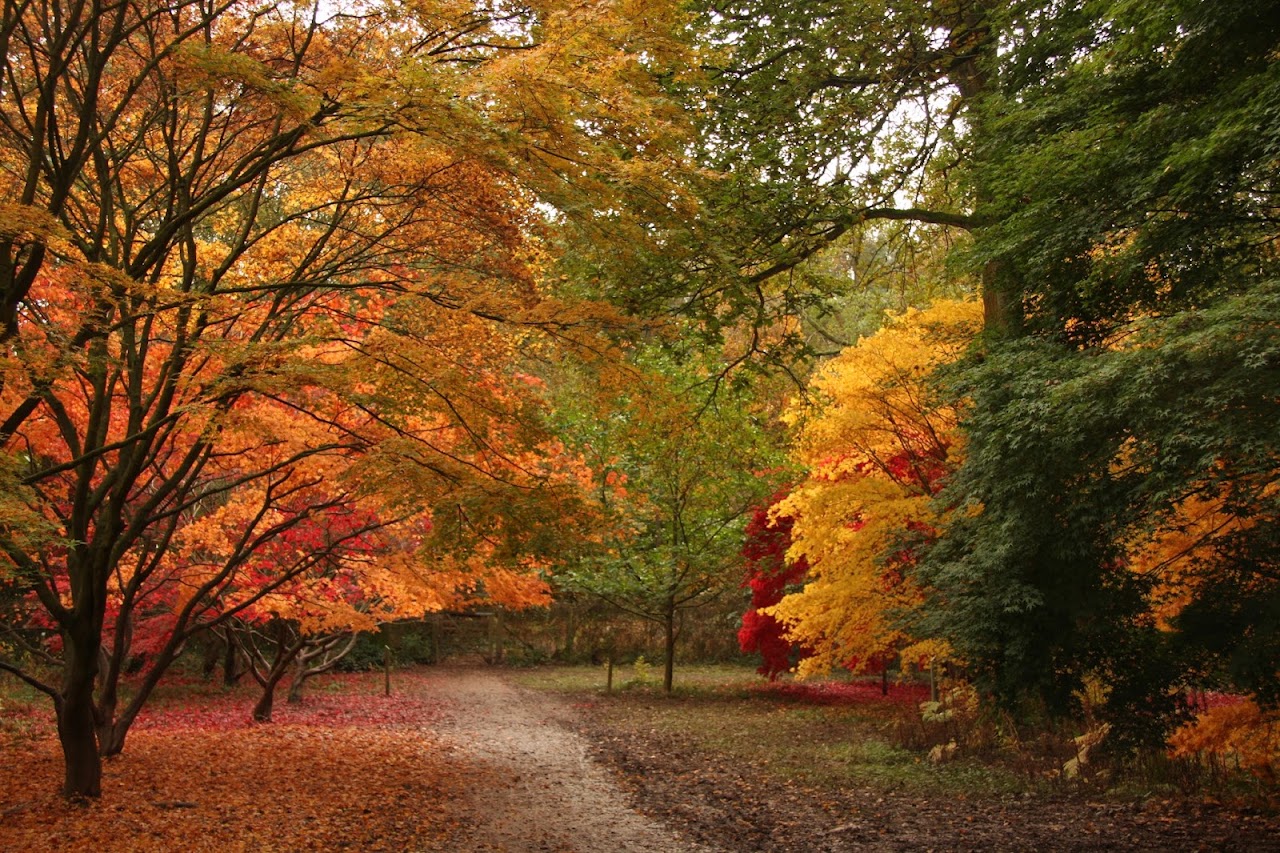 Queenswood Country Park