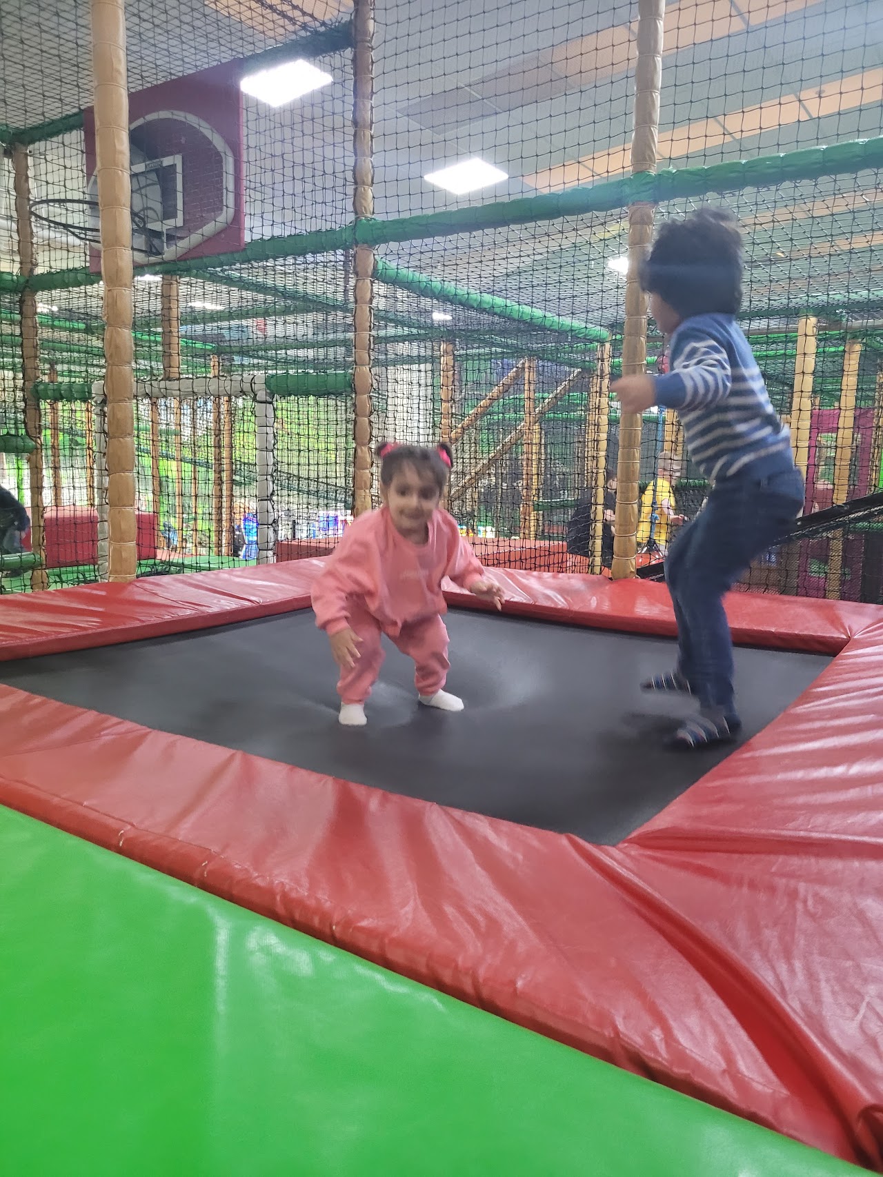 Rainforest Adventure East Kilbride