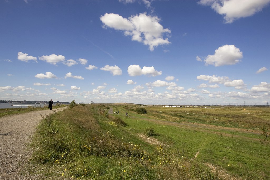 Rainham Marshes