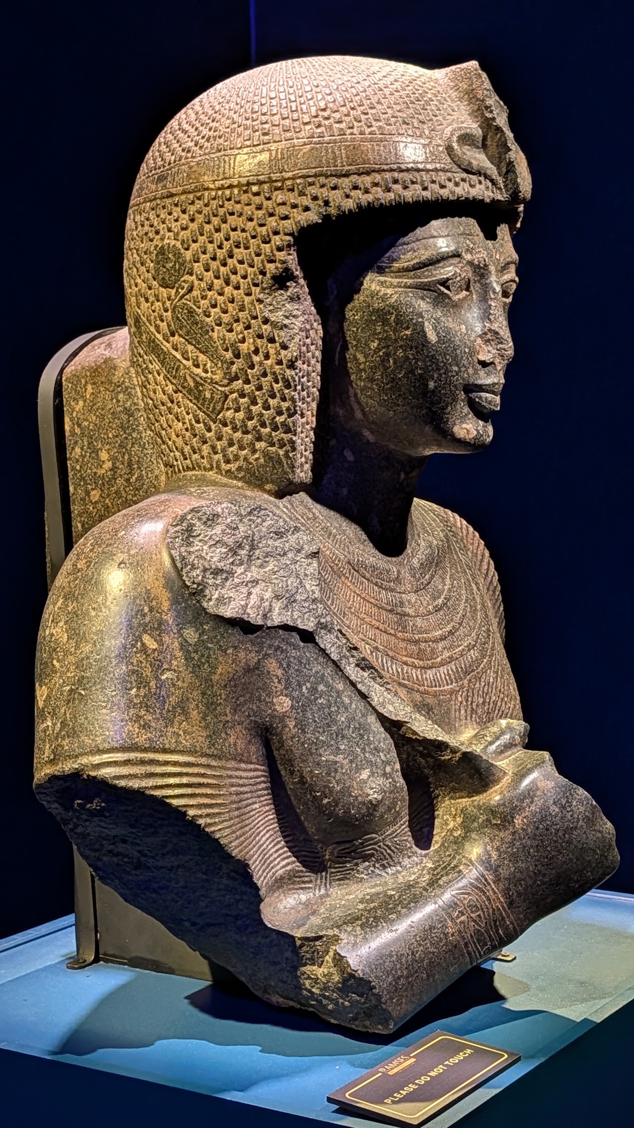 Ramses and the Pharaohs' Gold: The Exhibition