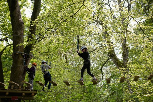 Raven Tree Top Adventure