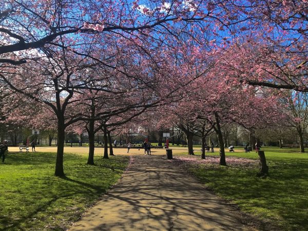 Ravenscourt Park