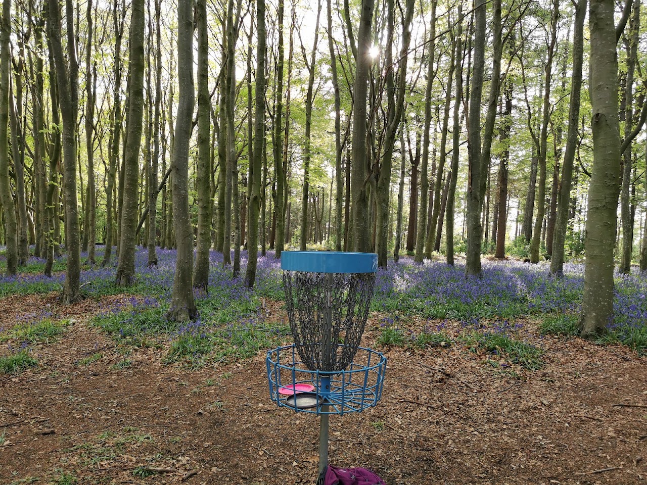 ReBoot Disc Golf Course