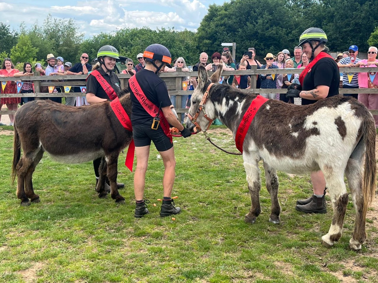 Redwings Horse Sanctuary Aylsham