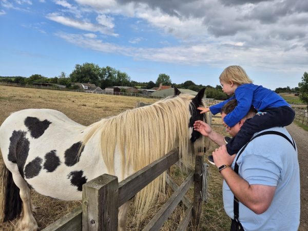 Redwings Horse Sanctuary Aylsham