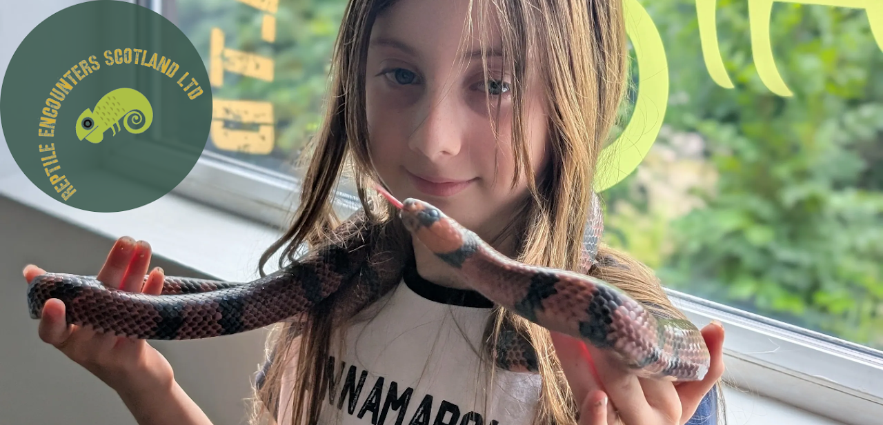 reptile encounters scotland ltd