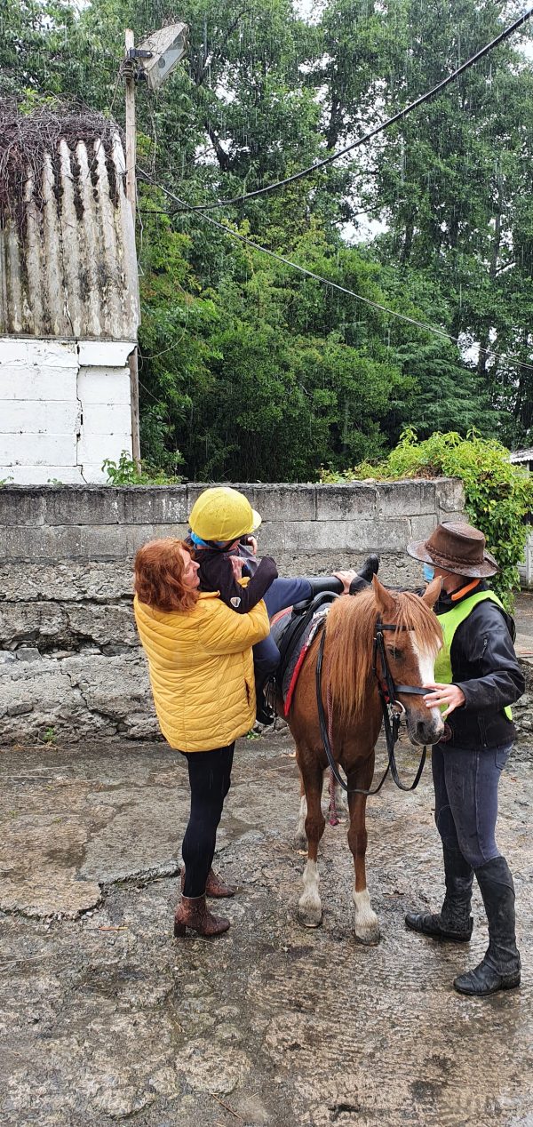 Rheidol Riding Centre