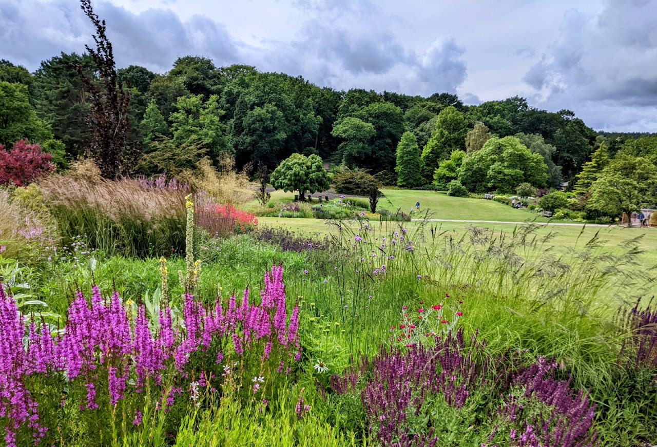 RHS Harlow Carr