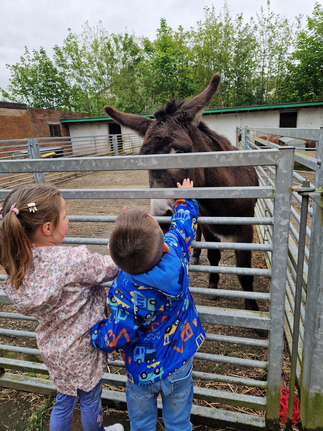 Rice Lane City Farm