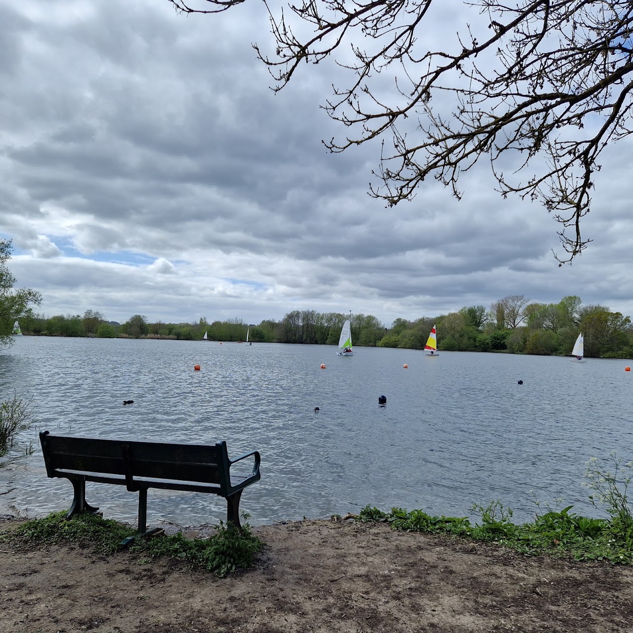 Rickmansworth Aquadrome Nature Reserve