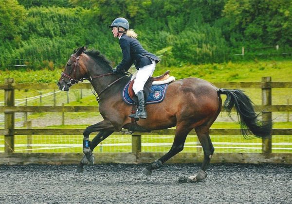 Riding Farm Equestrian Centre
