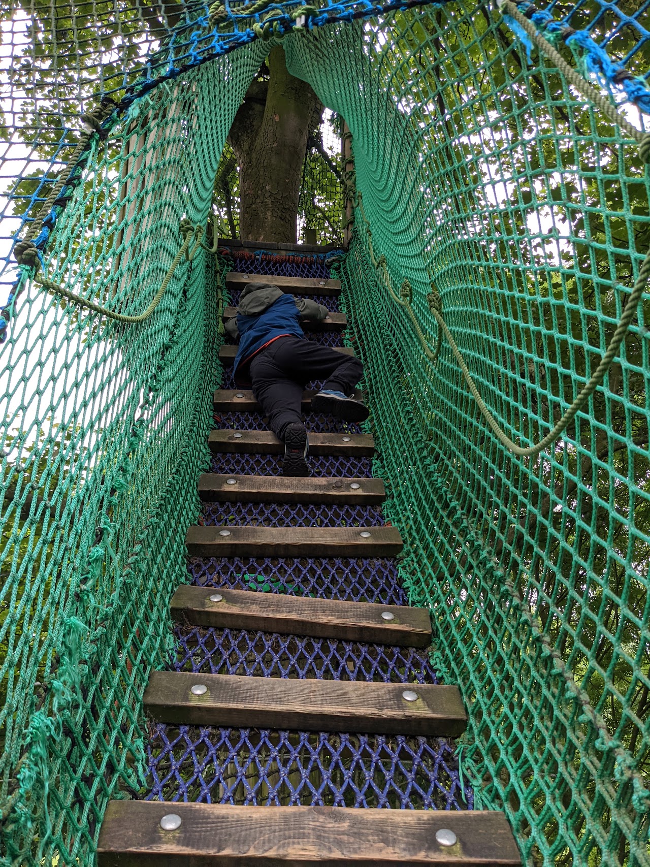 Ripon Treetop Nets Yorkshire