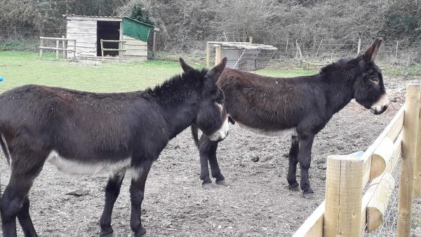River Bourne Community Farm