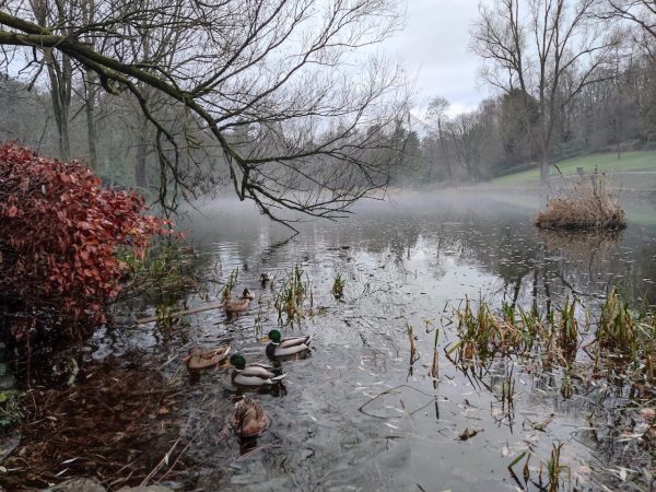 Riverside Park Glenrothes