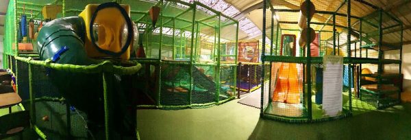 Roar Jungle Play