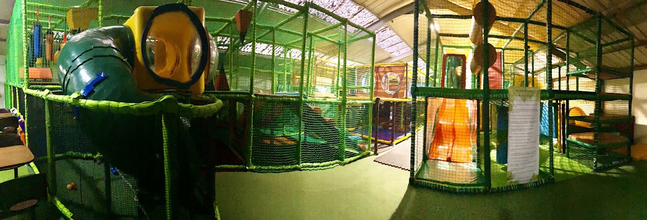 Roar Jungle Play