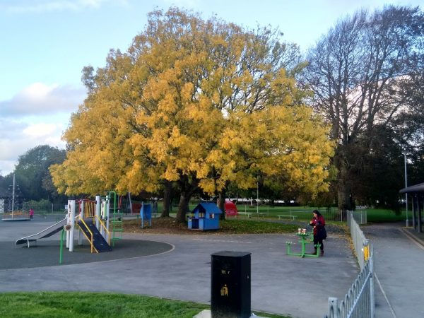 Rock Park