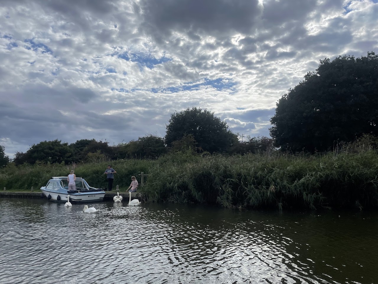 Ross' Wildlife Boat Trips