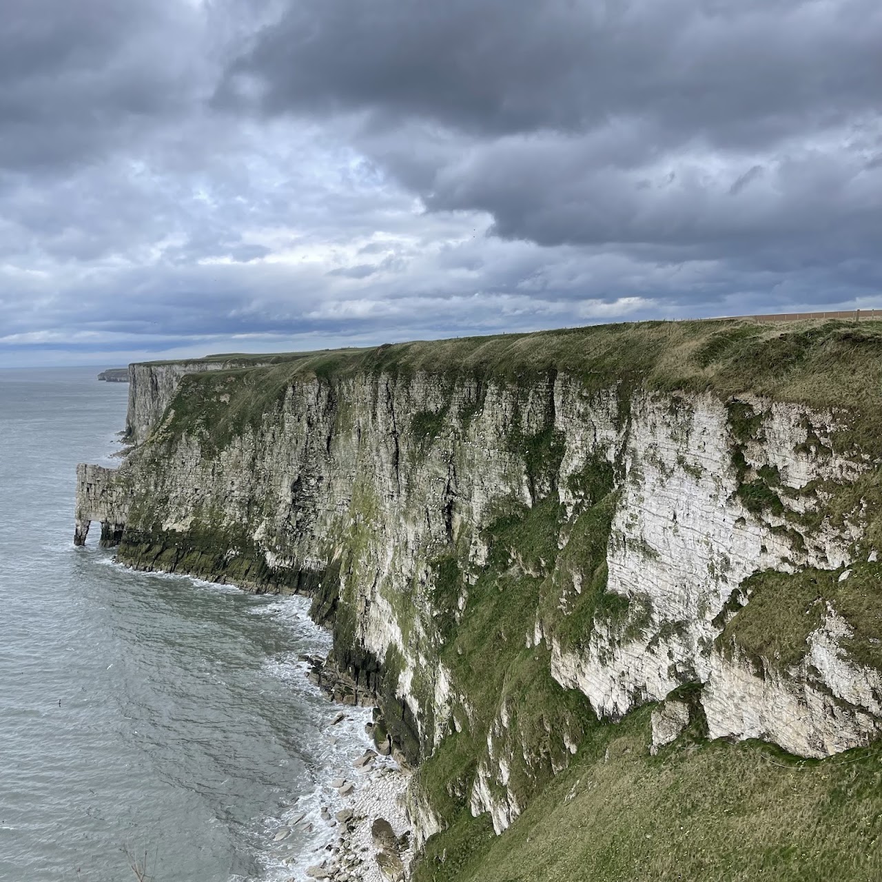 RSPB Bempton Cliffs
