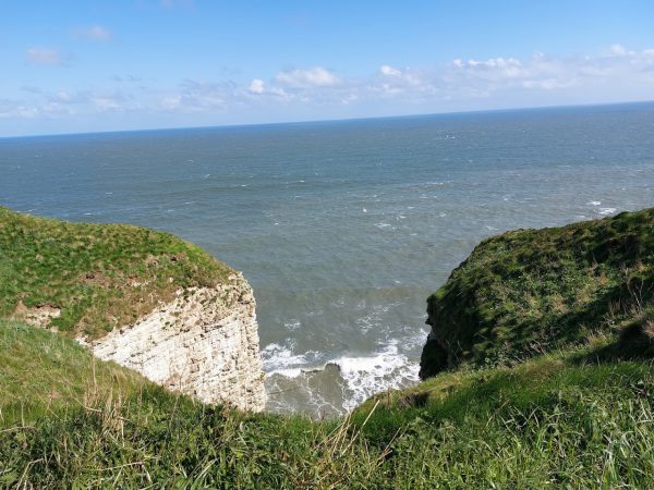 RSPB Bempton Cliffs