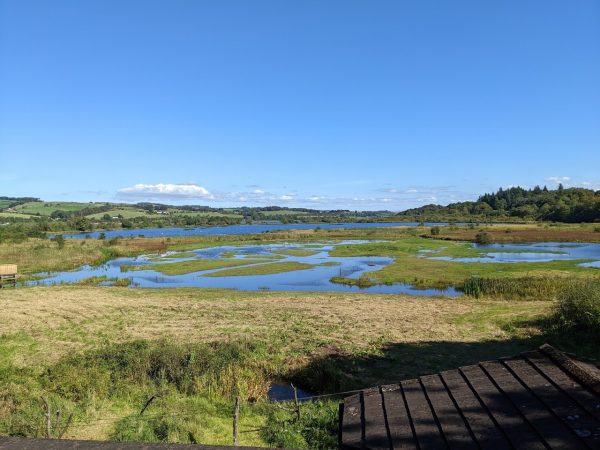 RSPB Lochwinnoch Nature Reserve