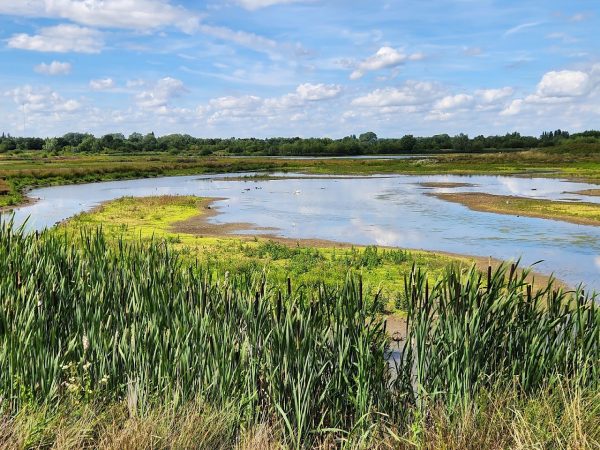 RSPB Middleton Lakes