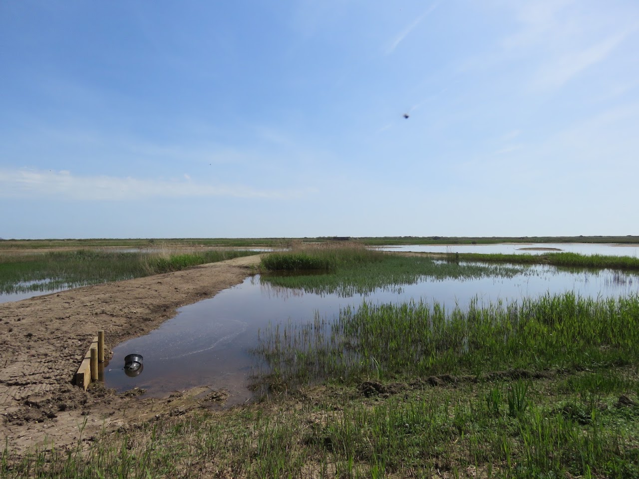 RSPB Minsmere