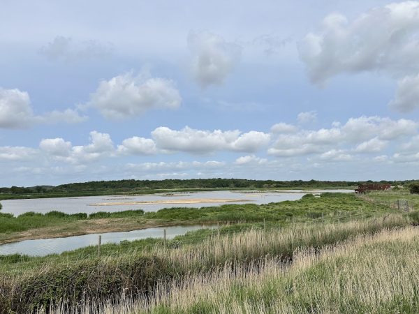 RSPB Minsmere