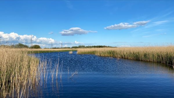 RSPB Newport Wetlands