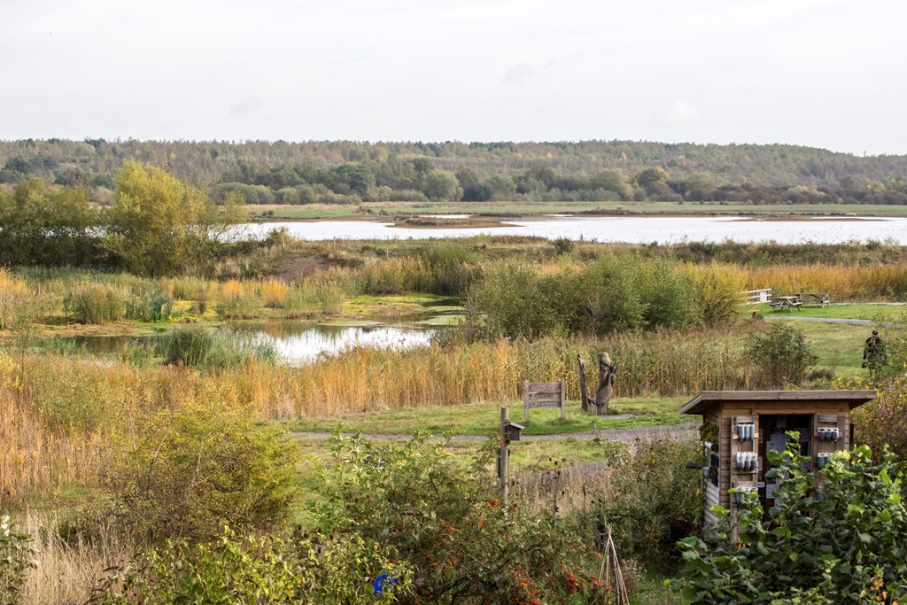 RSPB Old Moor