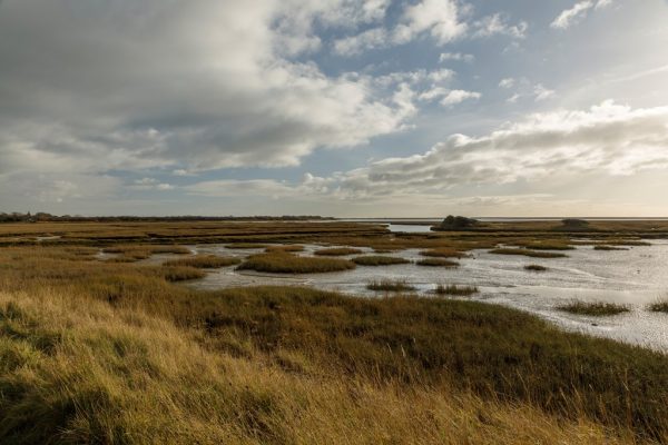 RSPB PAGHAM HARBOUR NATURE RESERVE, WEST SUSSEX