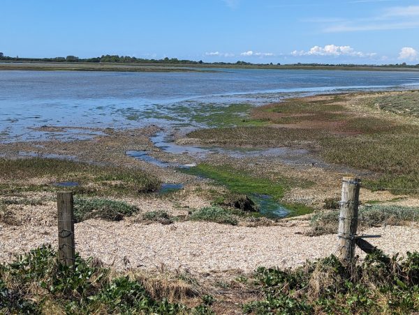 Rspb Pagham Harbour Nature Reserve, West Sussex