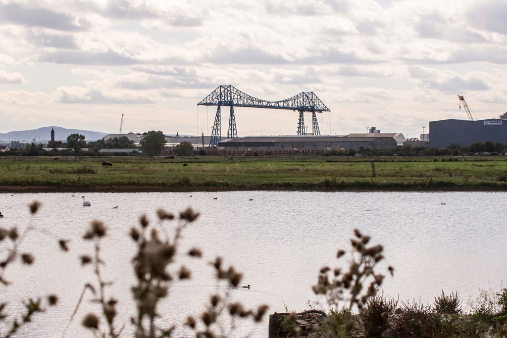 RSPB Saltholme