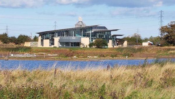 RSPB Saltholme