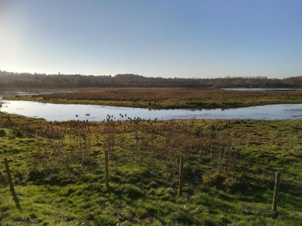 RSPB Scotland Barons Haugh Nature Reserve