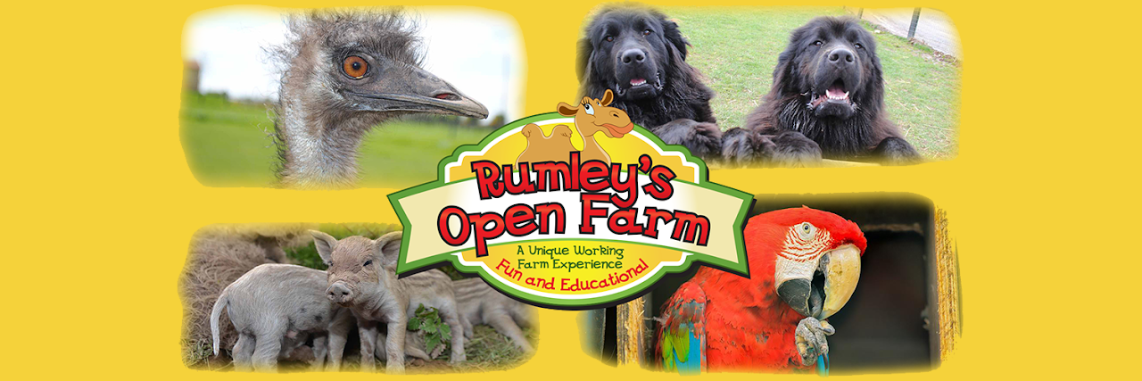 Rumleys Open Farm