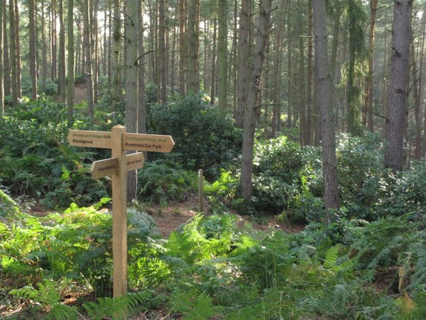 Rushmere Country Park