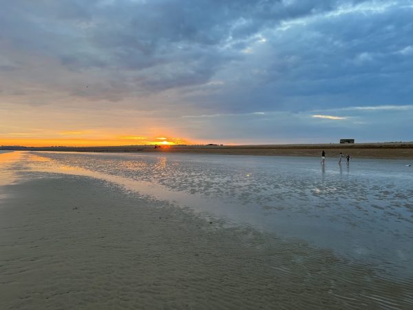 Rye Harbour Nature Reserve