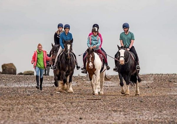 Sallys Riding School