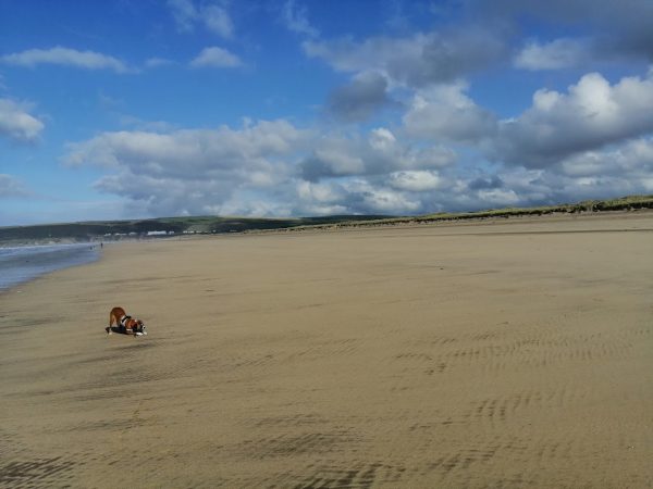 Saunton Sands