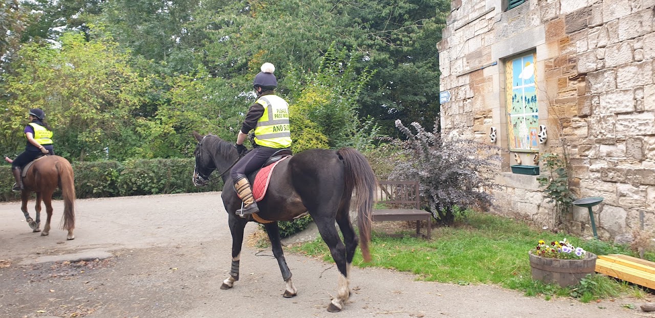 Scholland Equestrian at Kilconquhar