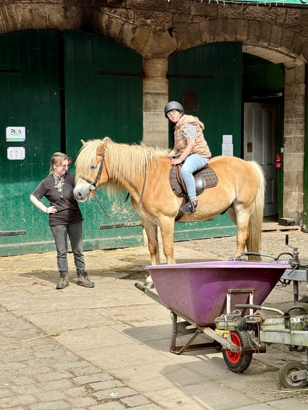 Scholland Equestrian at Kilconquhar