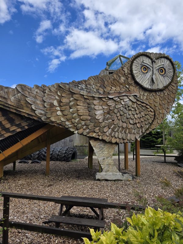 Scottish Owl Centre