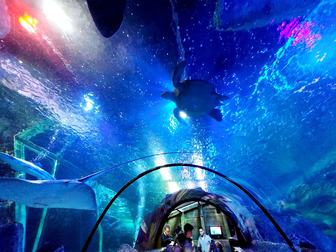SEA LIFE Blackpool